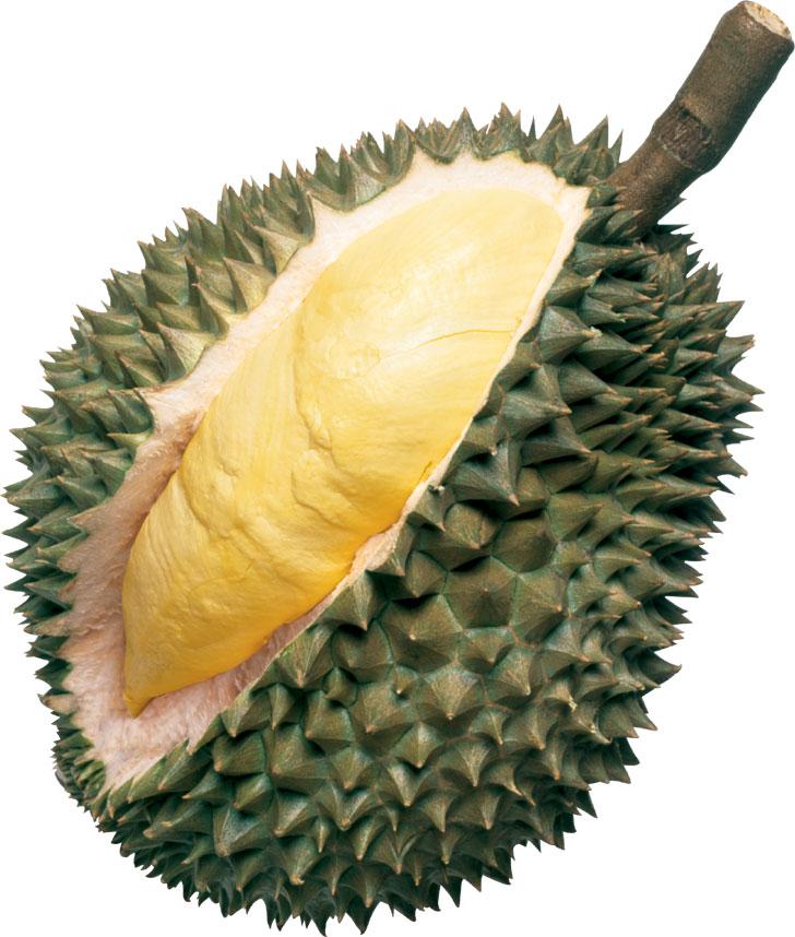 http://www.timwu.org/durian.JPG